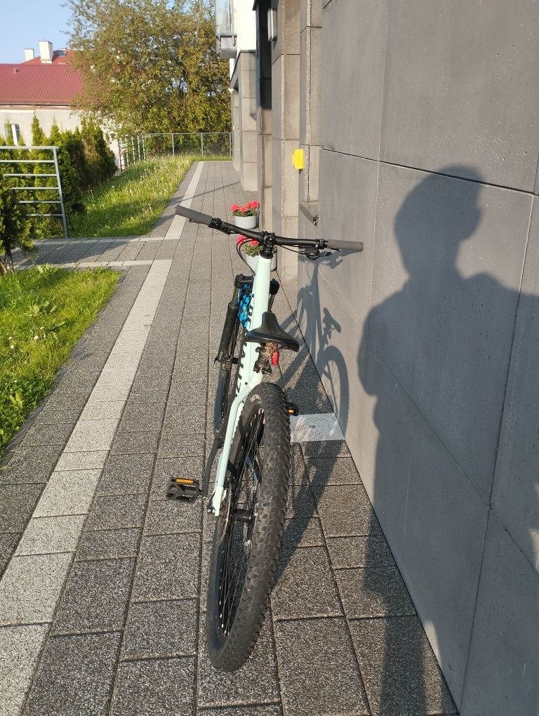 Specialized rockhoper