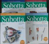 Atlas anatomii Sobotta NOWE mianownictwo łacińskie