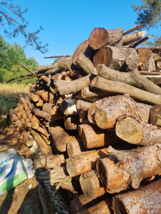 Sprzedam drewno sosna, brzoza, olcha, dąb