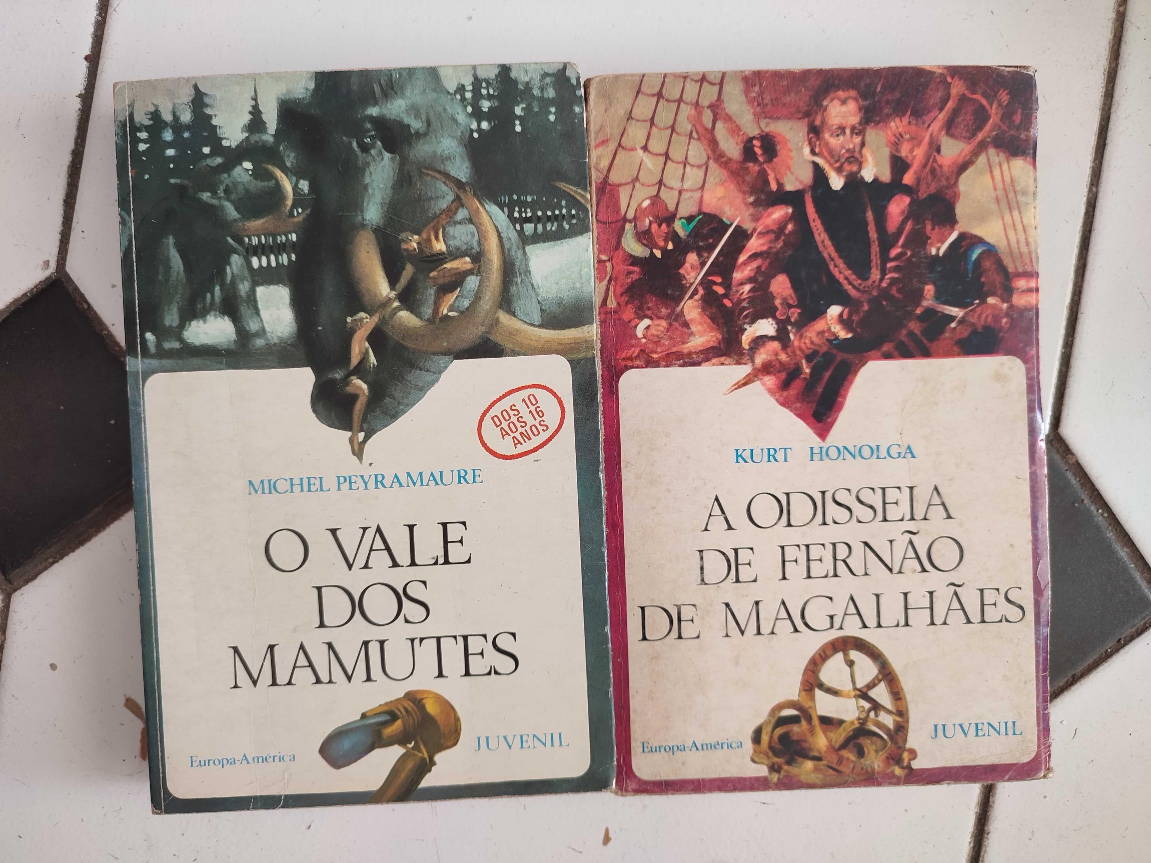 13 Livros Literatura Juvenil