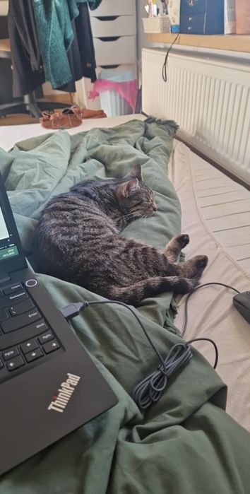 Mini Misia szuka swojego człowieka!