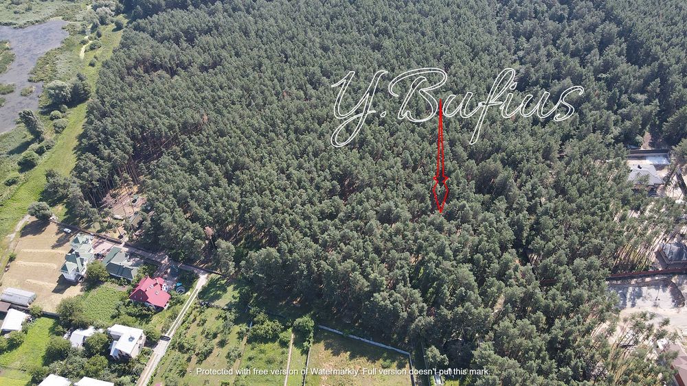 Одеський шлях. В. Салтанівка. Ділянка в сосновому лісі 25 с.