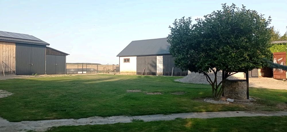 Dom i gospodarstwo rolne o powierzchni 6,43 ha i 1,20 ha lasu.