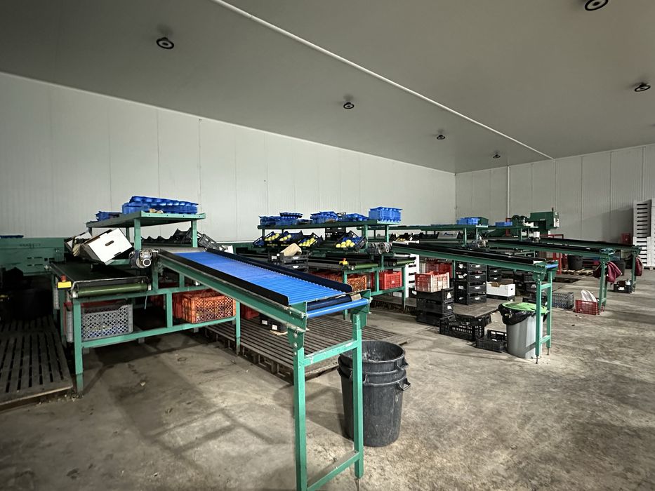 Calibrador  macas greefa