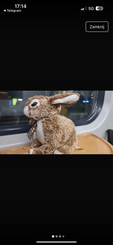 Homerbest Plush Bunny maskotka  królik zając