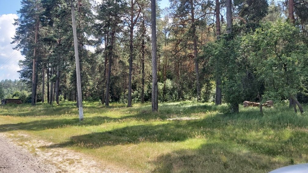 Будинок у ліса, блакитні озера.