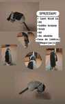 Hobby horse szary A5