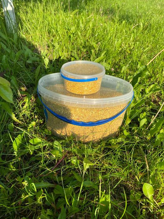 Пилок бджолиний, купити свіжий пилок 2025 року