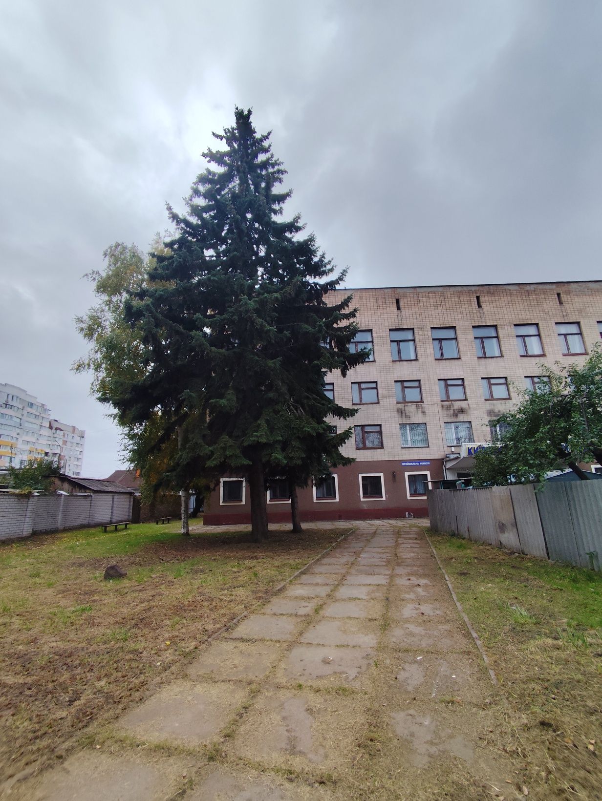 Здається офіс оренда Центр вул Грушевського Благовісна