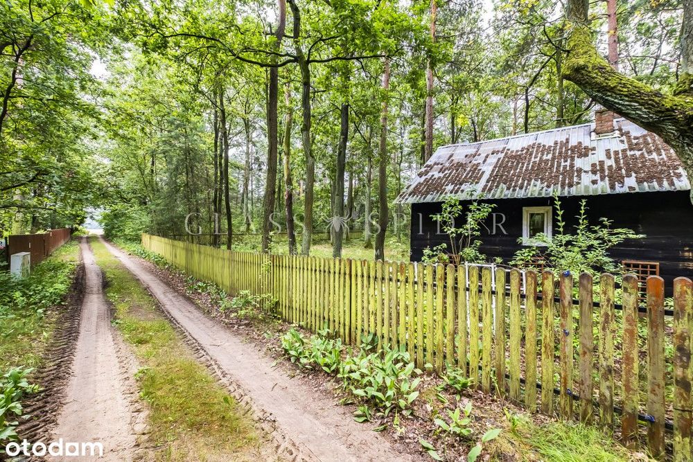 ⚡Działka rekreacyjna w lesie⚡Niedaleko Narew⚡