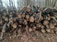 Drewno opałowe Sosna (wałki)