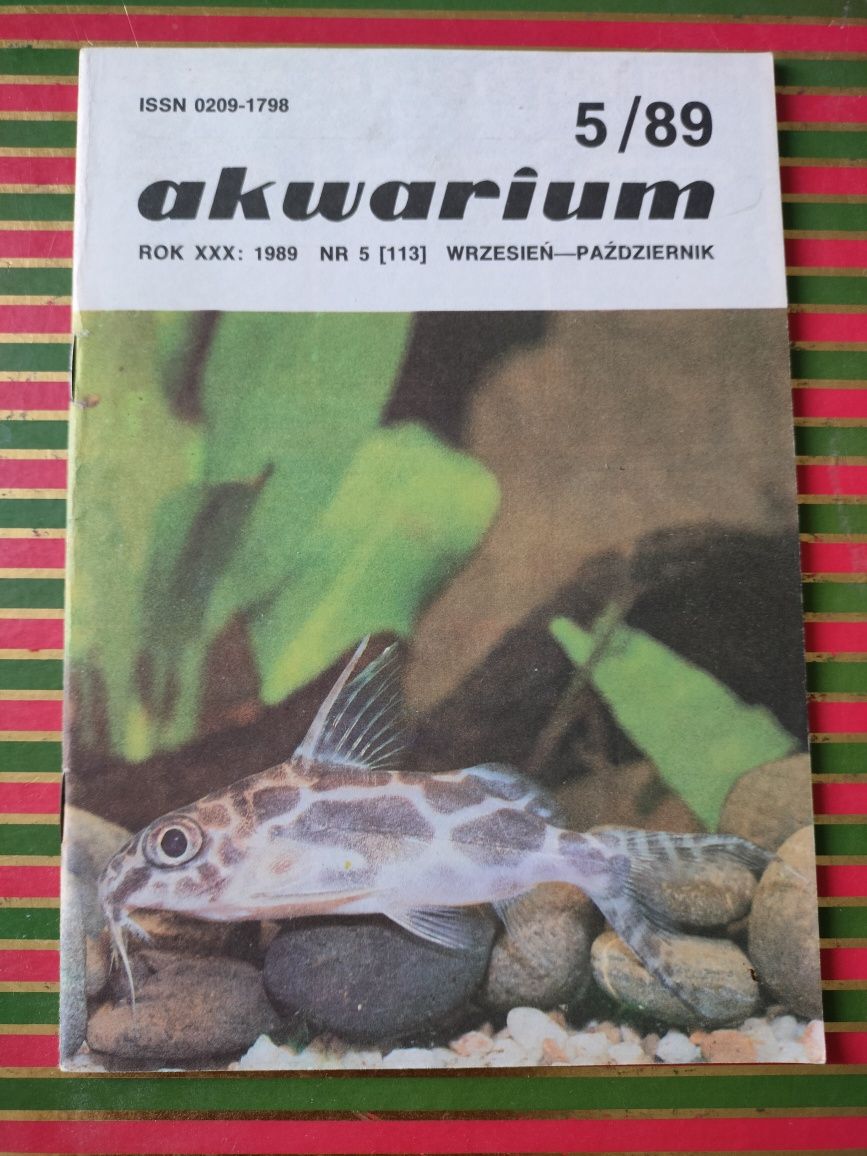 Akwarium magazyn