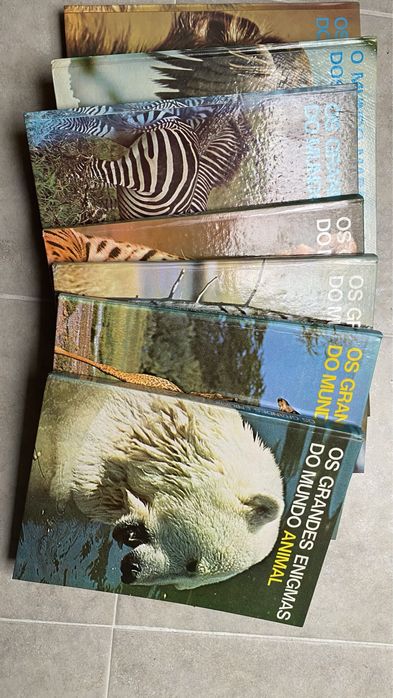 Livros enigmas mundo animal