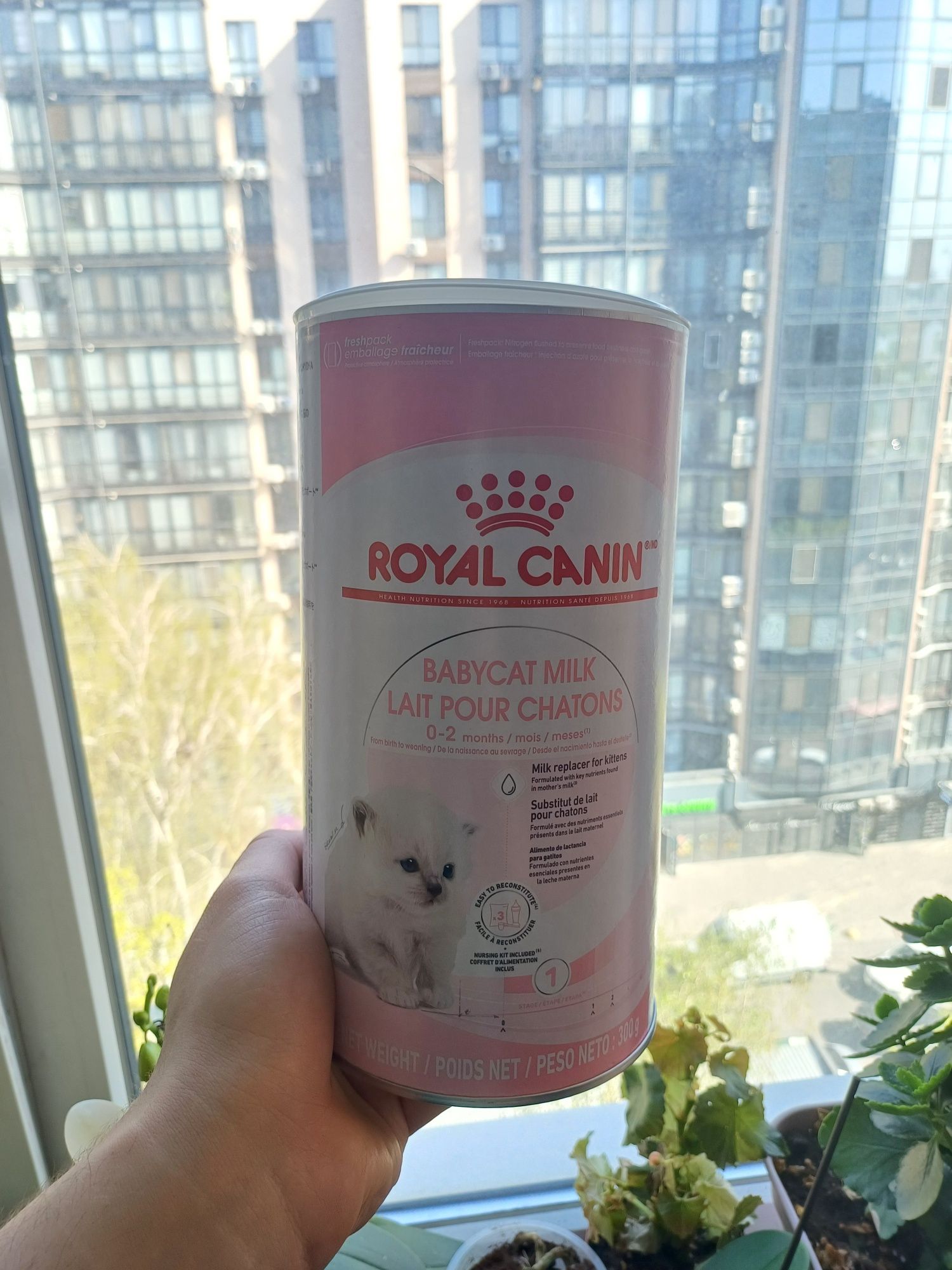 смесь для котят Royal canin