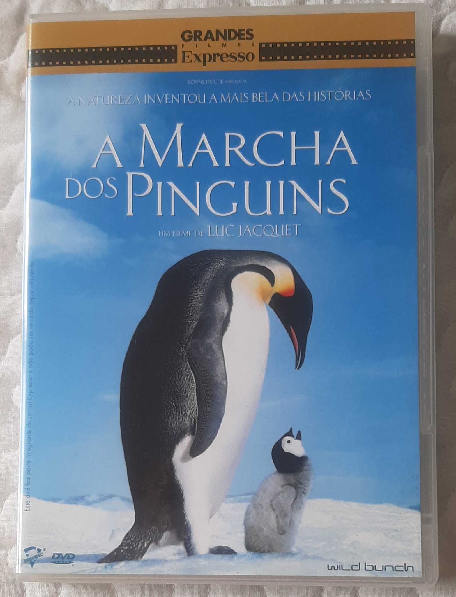 DVD  Lassie, Scary Movie, Chocolate, Os condenados de Shawshank, Birth