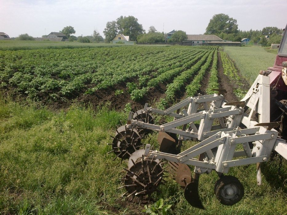 Окучник, культиватор,підгортач.