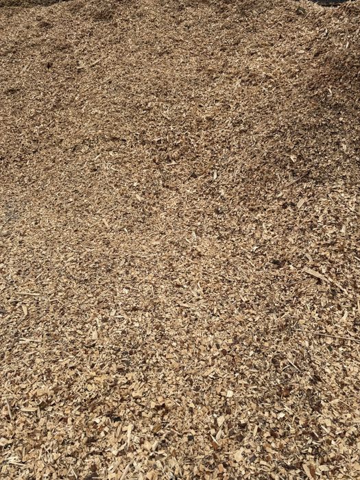 Продам тріску-щепу великі обєми