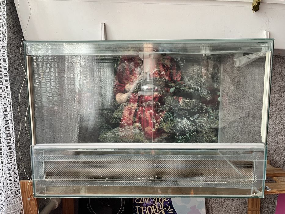 Террариум стеклянный. Тераріум для рептилій