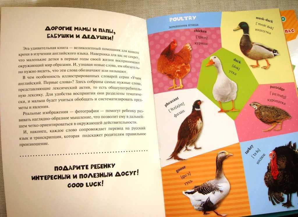 Детские книжки English Английский язык для самых маленьких НАБОР 2шт