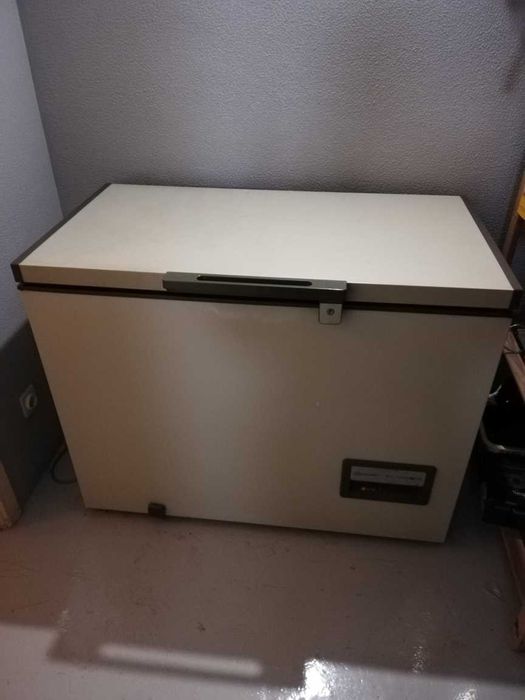 arca congeladora