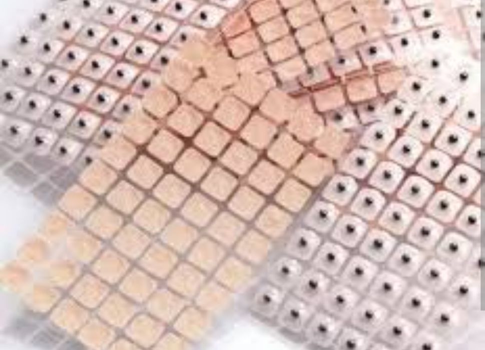 Material para auriculoterapia