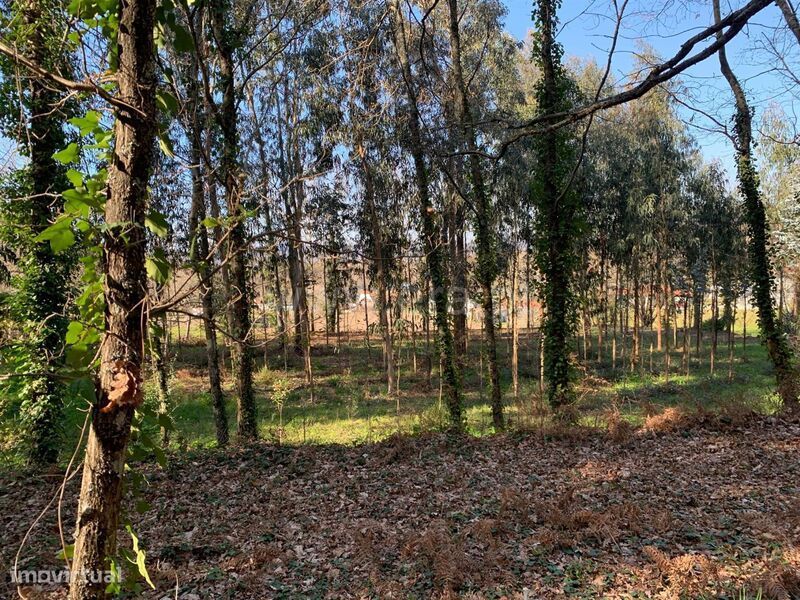 Terreno / Marco de Canaveses, Vila Boa do Bispo