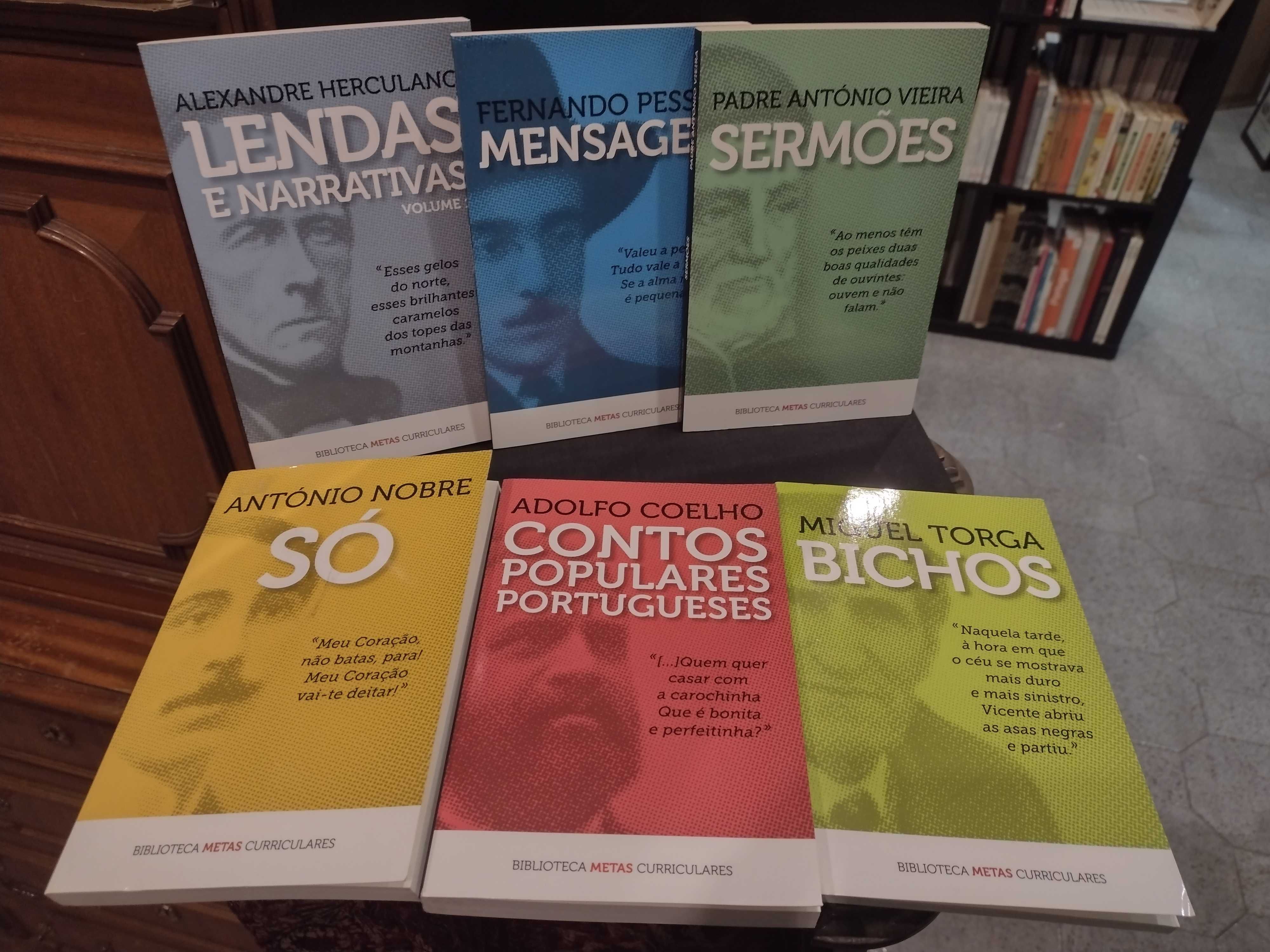 Biblioteca Meta Curricular vários Autores 6 Exemplares