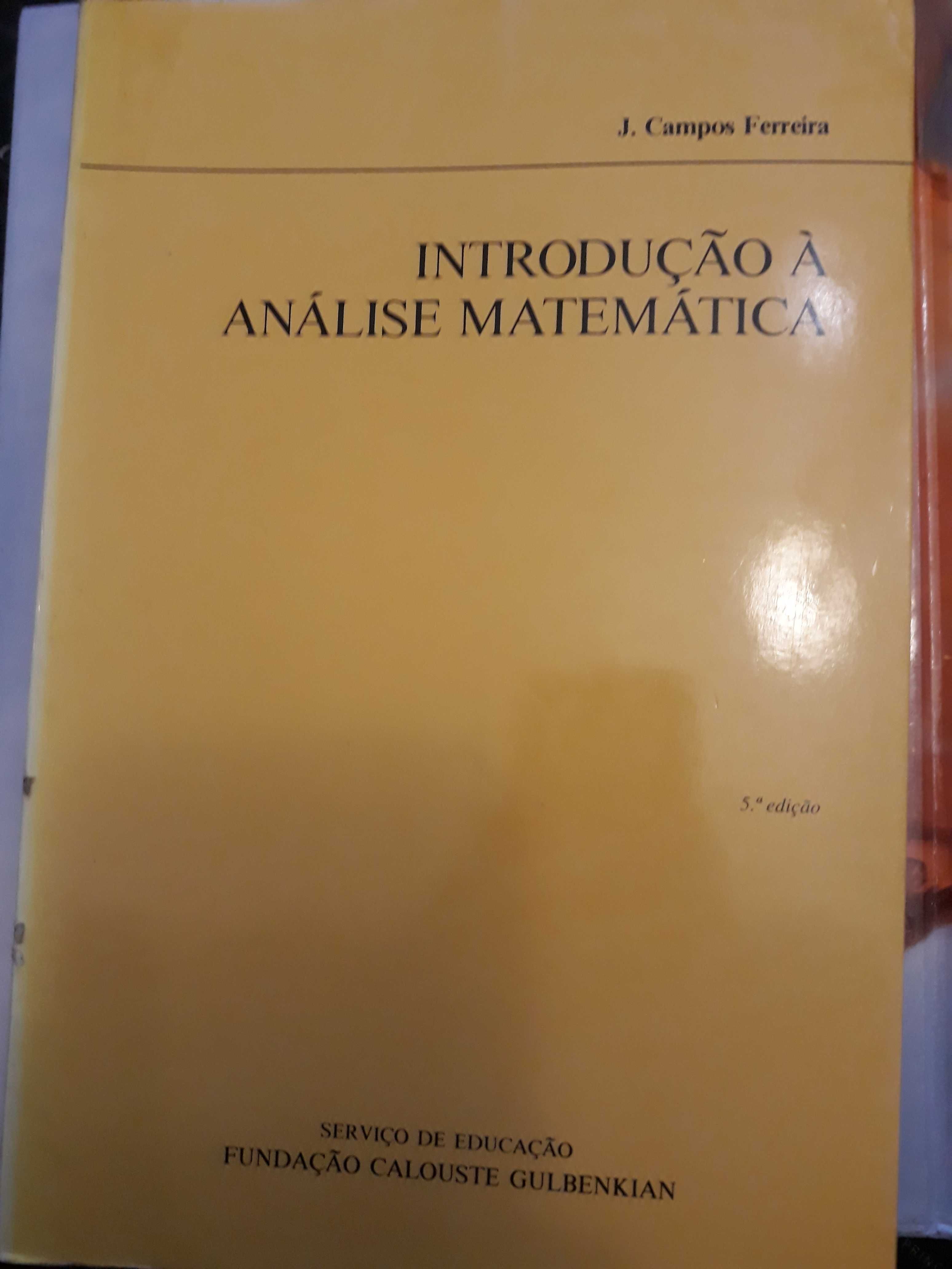 Livro de Análise Matemática