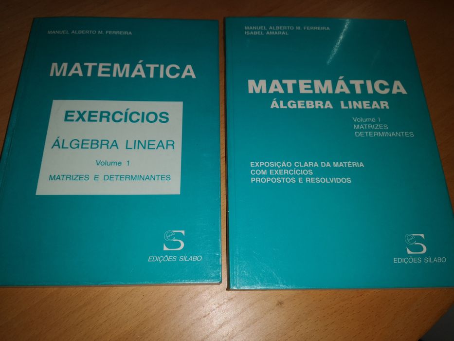Matemática - Álgebra linear Vol 1 + Exercícios _Ed. Sílabo
