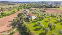 Quinta T6 em Alcanena e Vila Moreira de 172,00 m2