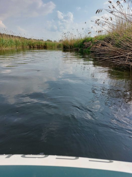 sprzedam działkę 1,3 ha,  teren z dostępem do rzeki Drwęcy.