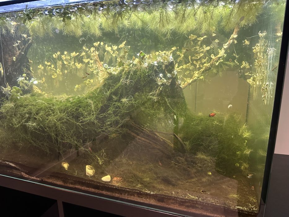 Aquário 1m completo c/ LED + acessórios — despachar em Gondomar
