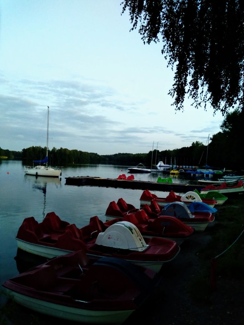 Wynajmę domek 100m od jeziora - Mazury-jezioro Dadaj