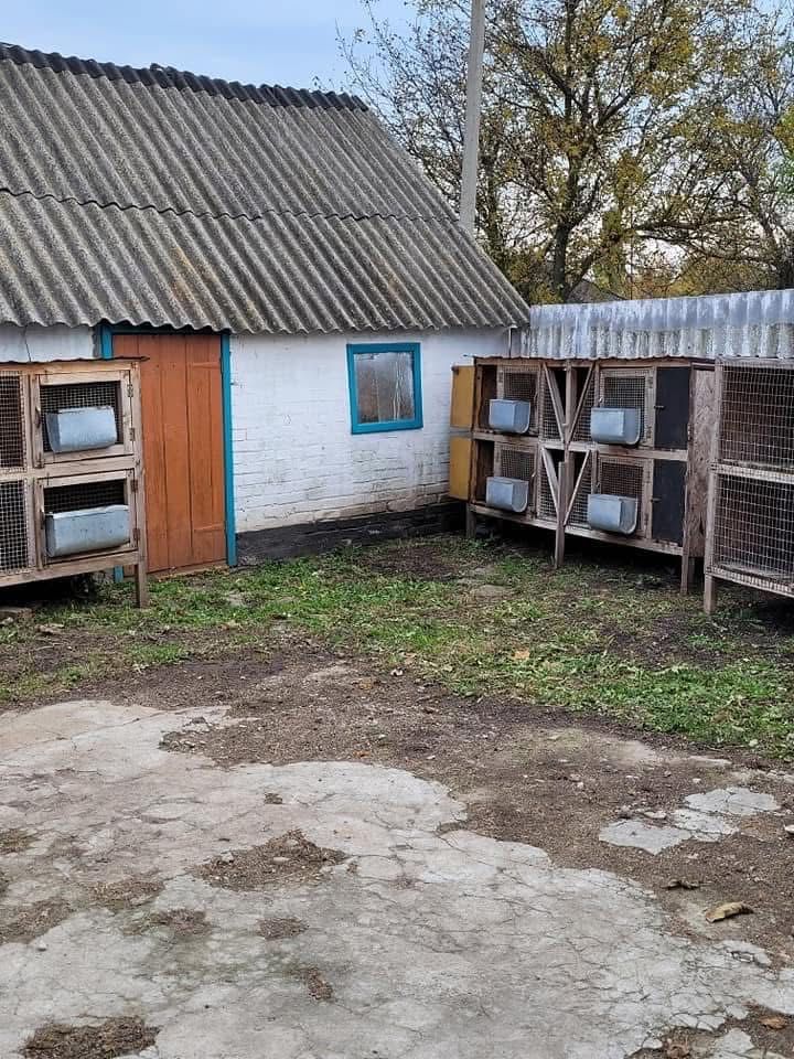 Будинок у селі Шляхове