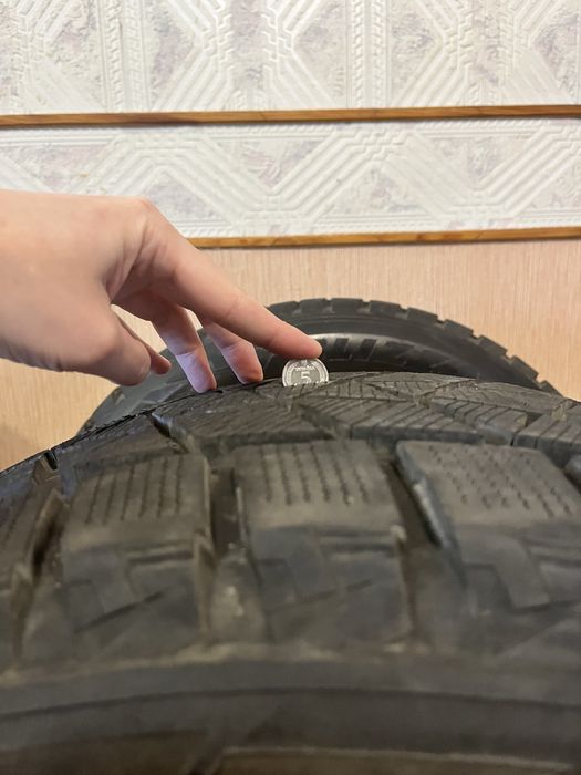 Резина Bridgestone Blizzak DM-V3 275/55 R-19 111T