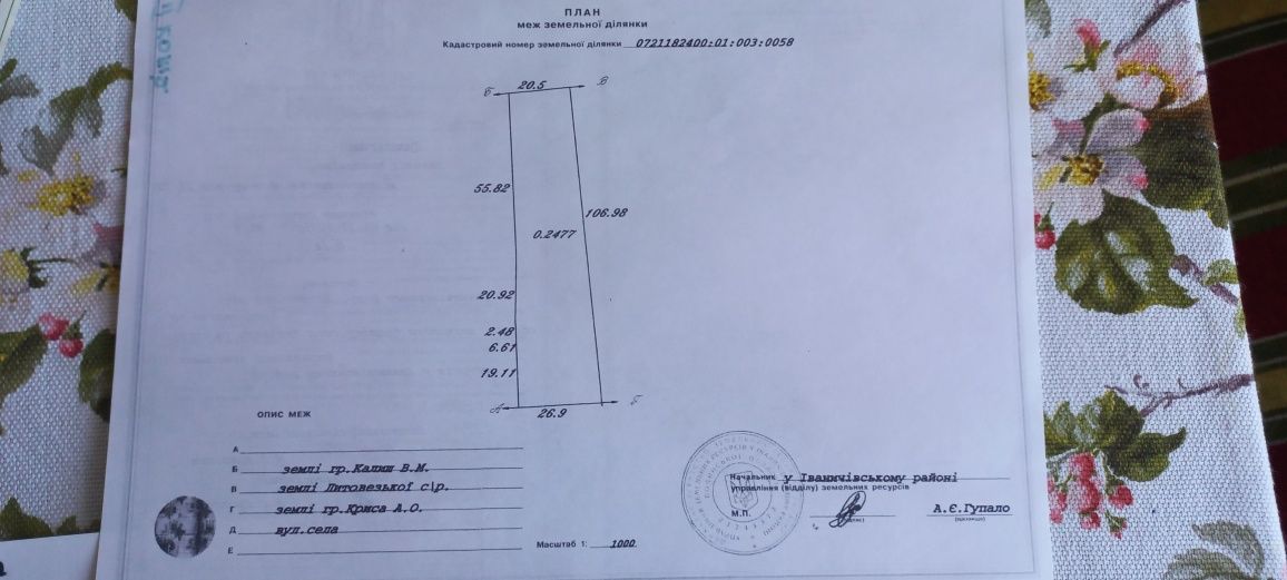 Продам дом Литовиж