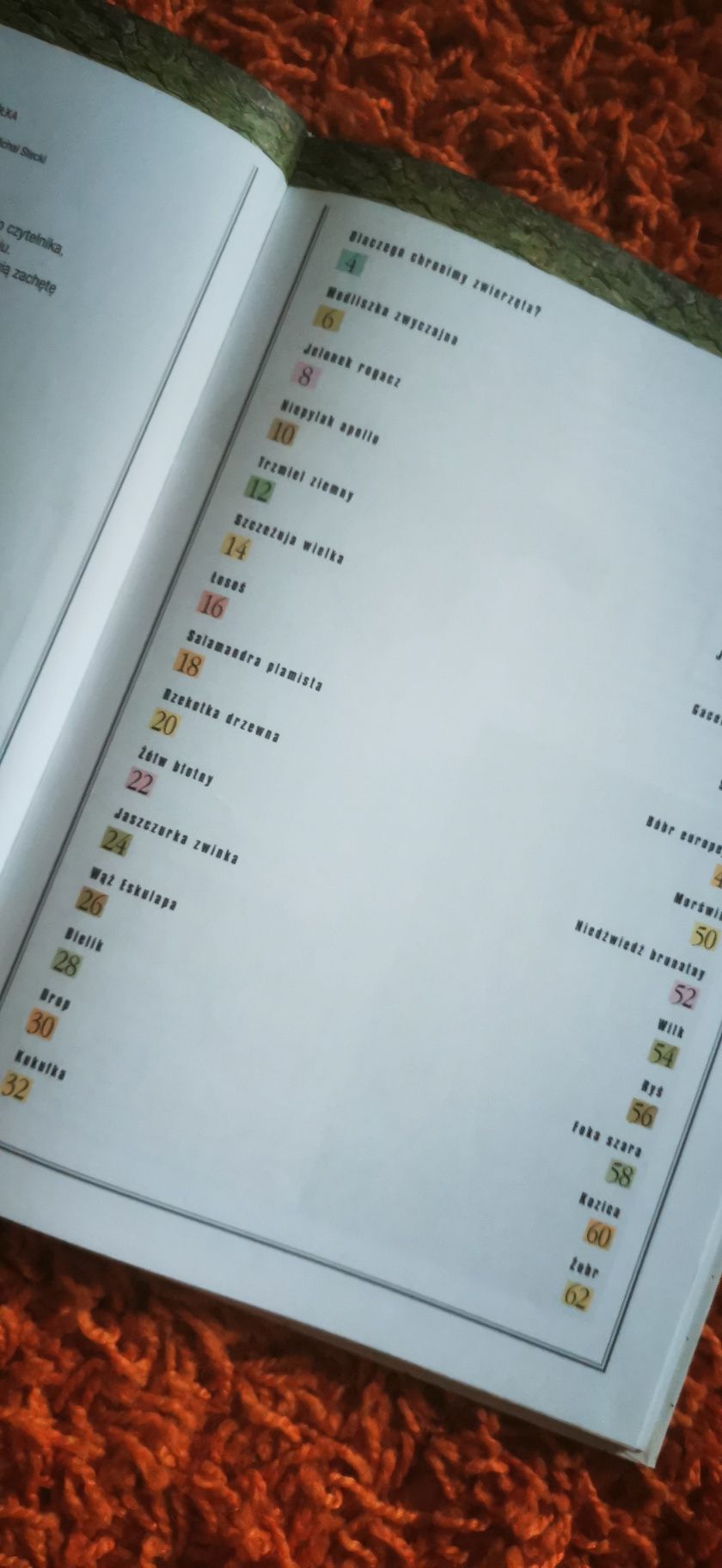 Zwierzęta chronione w Polsce