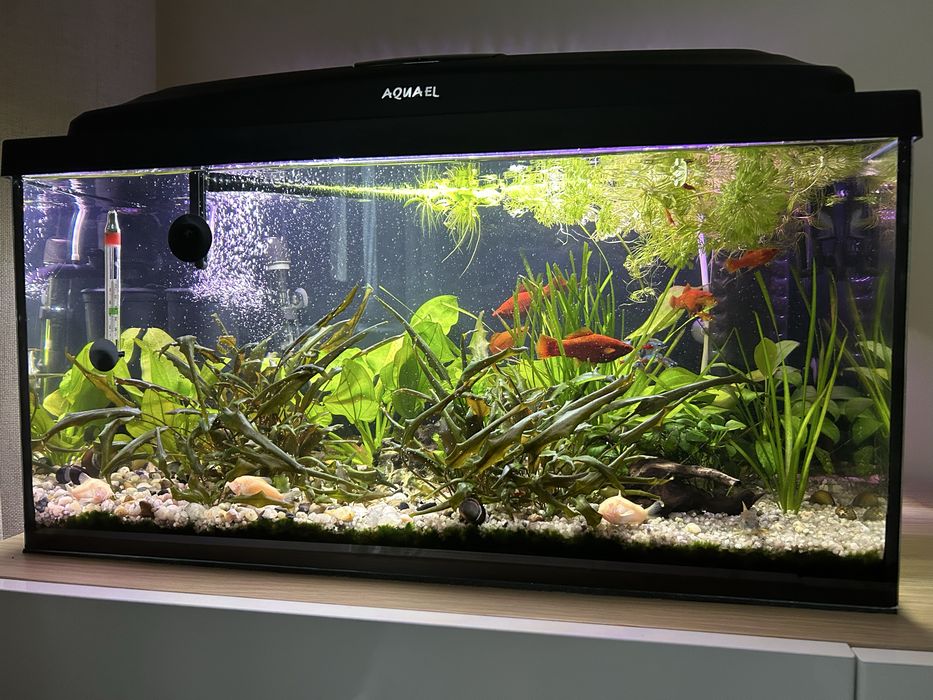 Akwarium 56L Aquael