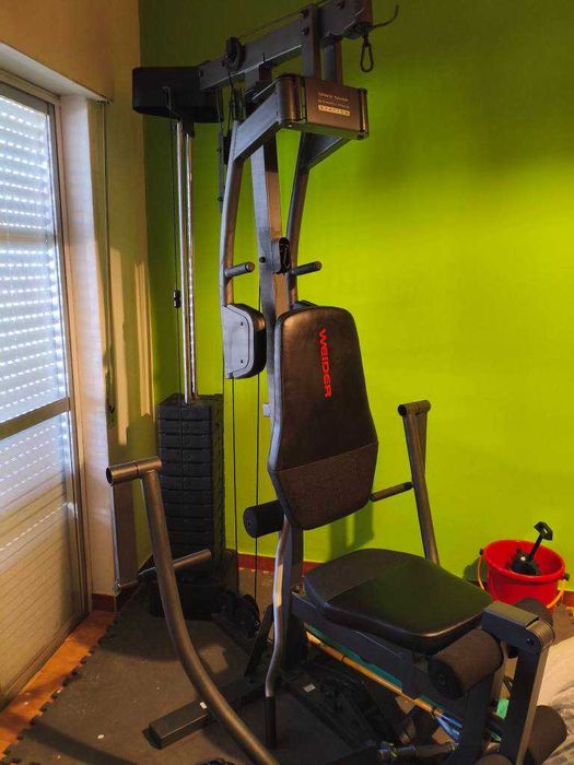 Desporto/Musculação