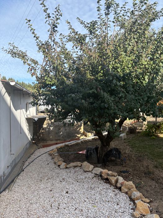 Terreno Sintra pode-se construir