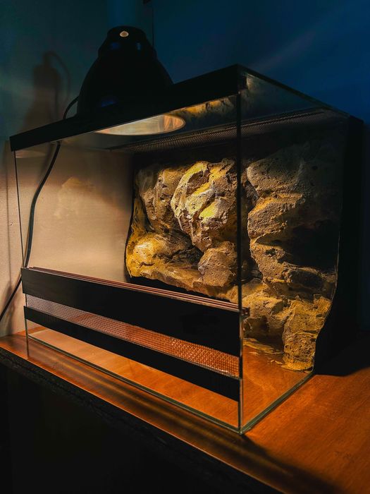 Тераріум для рептилій, членостоногих з декором