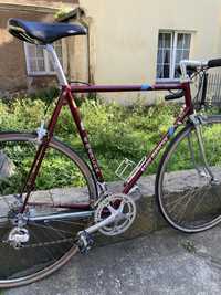 Rower szosowy Eddy Merckx corsa extra columbus 59cm campagnolo