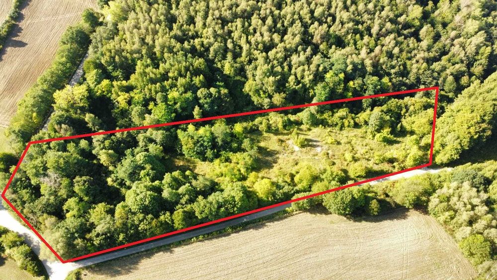 działka rekreacyjna paintball