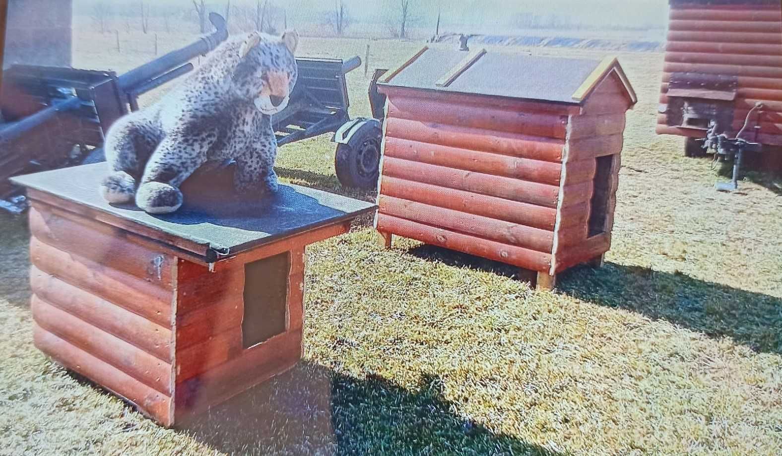 Budy dla psów mała i duża