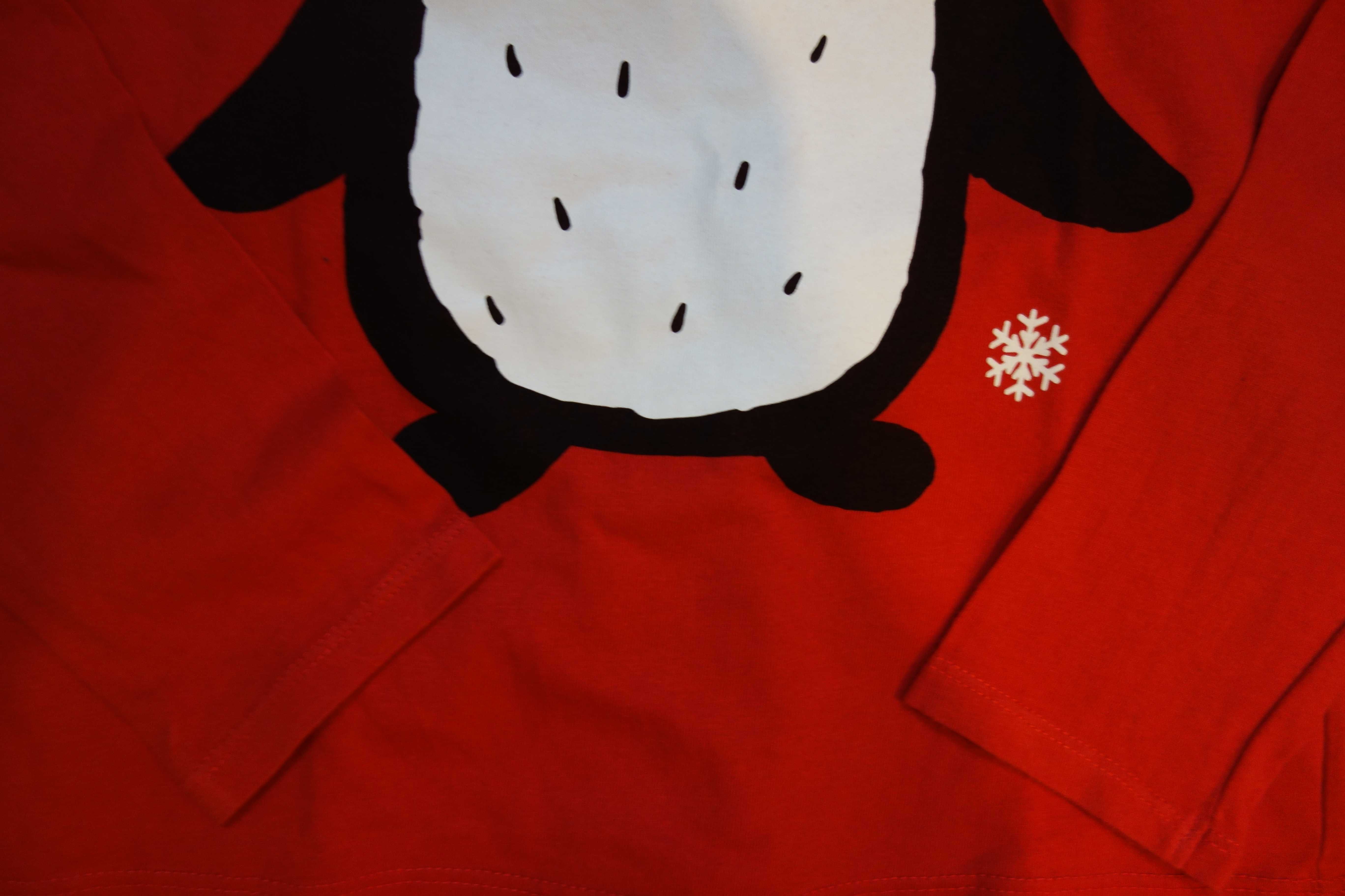 Zestaw świąteczny 140 Mikołaj pingwin pieski F&F