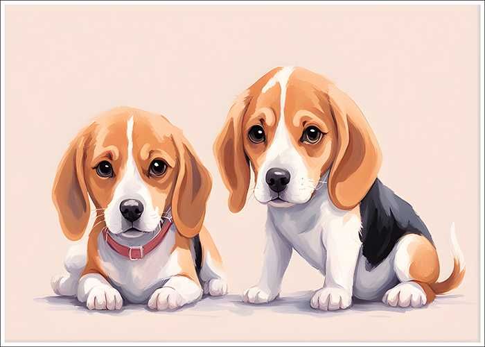 Plakat Premium słodkie beagle 2 do salonu - 50x70cm