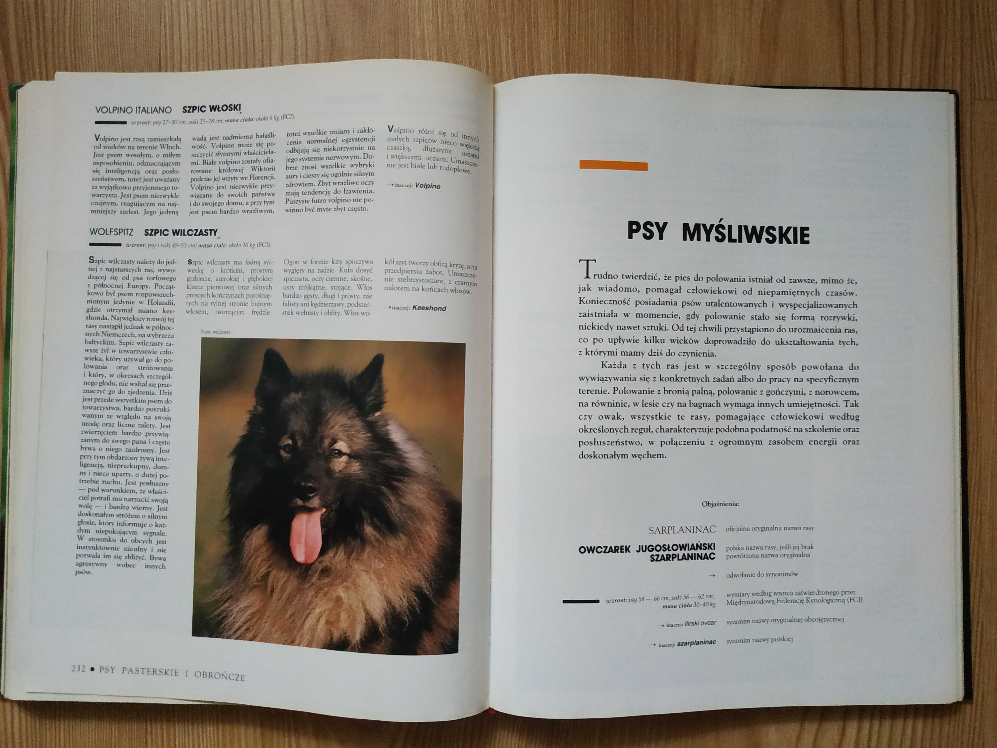 Encyklopedia Pies - Bogaty Przewodnik dla Każdego Miłośnika Psów