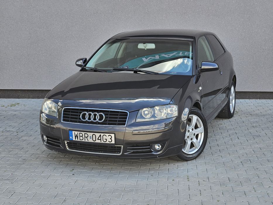 Audi A3 # 1.6 MPI 102 kM # KLIMA Sprawna # Tylko 197.000 km # Zarej PL