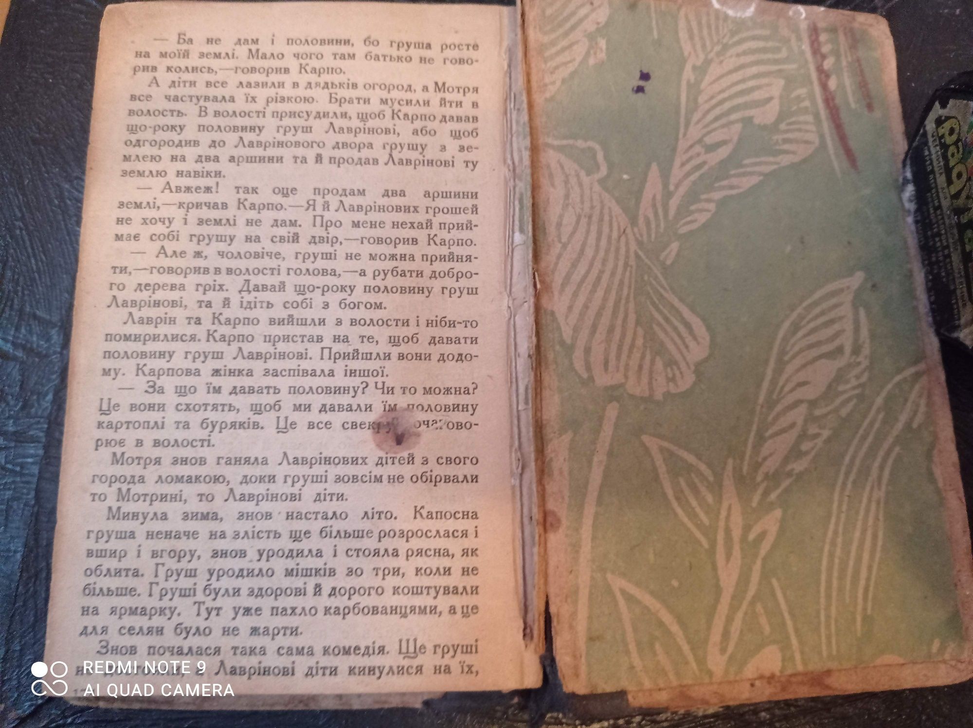 Іван Нечуй-Левицький Кайдашева сім'я Книга раритет 1928 рік Харків