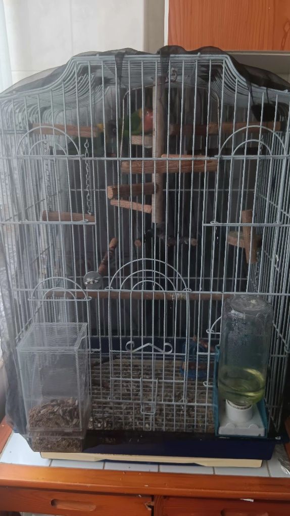 Gaiola assesorios e dois pássaros